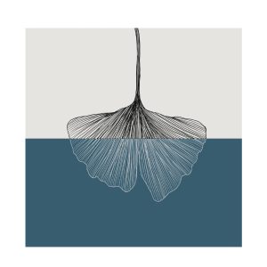 FALL ΠΙΝΑΚΑΣ ΔΙΑΚΟΣΜΗΣΗΣ 40x40x2cm ΚΑΜΒΑΣ ΠΕΤΡΟΛ ΛΕΥΚΟ ΞΥΛΟ ΜΑΥΡΟ