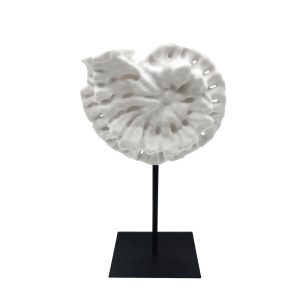 SHELL ΔΙΑΚΟΣΜΗΤΙΚΟ ΚΟΧΥΛΙ 20x11x36cm POLYRESIN ΑΣΠΡΟ ΜΑΥΡΟ ΜΕΤΑΛΛΟ